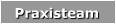 Praxisteam